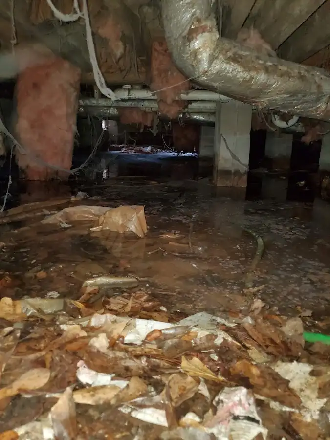 Crawl space flood assessment for Leak Detection & Repair in La Mesa